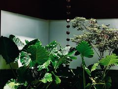 -成都市活水公园