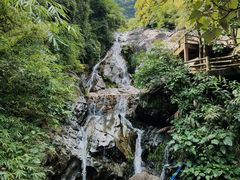 景点-天门沟九州驿站树上汤泉
