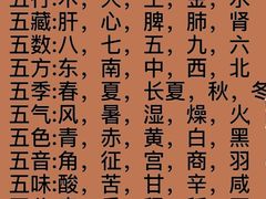 -裕和堂中医推拿艾灸(太古汇臻品店)