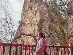 -塔云山