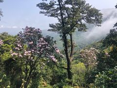 -梧桐山风景名胜区