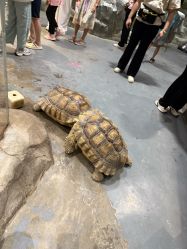 -Zoolung Zoolung动物主题公园(海信广场店)