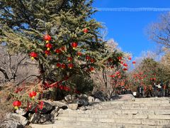 -天津盘山风景名胜区
