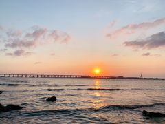 -宝安西湾红树林湿地公园