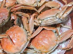 大闸蟹满黄-锦绣大地生鲜食品厅