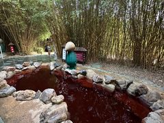 -森波拉火山温泉