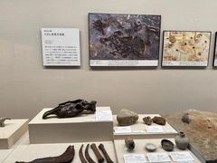 -大阪历史博物馆