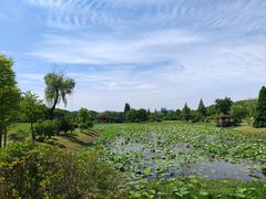 -宜兴龙背山森林公园