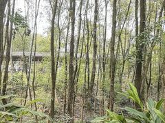 -重庆彩云湖湿地公园
