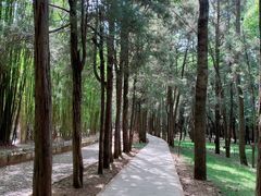 -蝴蝶泉公园