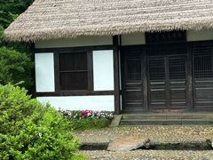 -庐山风景区花径公园