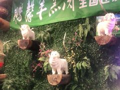 -鹏馨羊羔肉·非遗(新建街店)