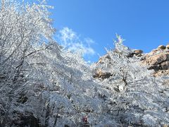 -崂山巨峰游览区