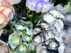 -循礼门鲜花花市(武汉循礼门店)