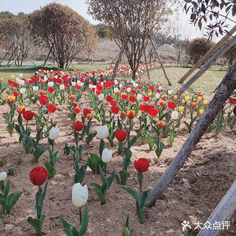 带着自己的家人去户外呼吸一下新鲜的空气