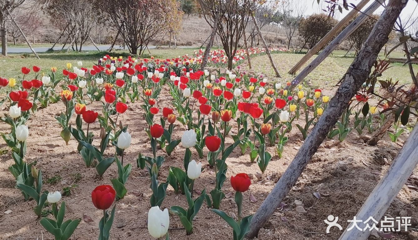 带着自己的家人去户外呼吸一下新鲜的空气