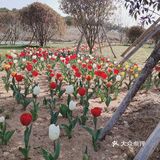 带着自己的家人去户外呼吸一下新鲜的空气