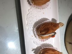 -南枝记