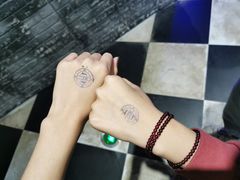 -爱丽丝冒险奇遇记