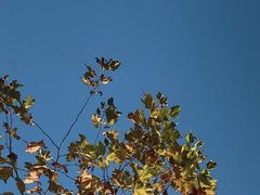 -百汇医疗健康管理与出国体检中心