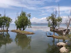 -洱海月湿地公园