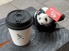 -常识咖啡common sense(春熙路店)