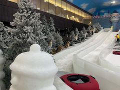 -世界之窗阿尔卑斯冰雪世界