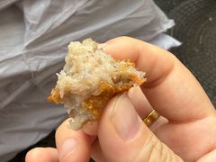 -陶记正宗德州扒鸡(科巷店)