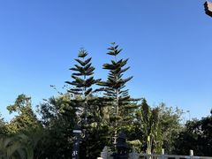 -三亚亚龙湾人间天堂鸟巢度假村