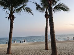 -玫瑰海岸文化旅游度假区