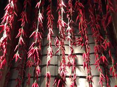 -井格重庆火锅(花乡奥莱店)