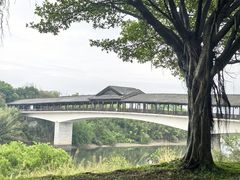 -福建鲤鱼洲酒店