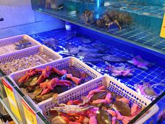-百年银屏蚝烙·潮汕菜·非遗(乐山店)