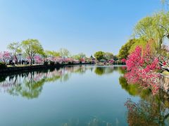 -无锡蠡湖国家湿地公园-蠡园