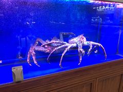 -忆江南·临江鱼馆