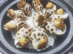 -顺轩海鲜火锅酒家