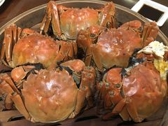 大闸蟹-白天鹅宾馆·流浮阁咖啡厅