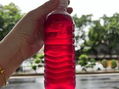 楂紫蜜-荔林食店(西华路店)