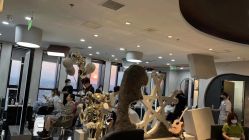 -TOP HAIR SALON