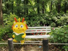 -上海共青森林公园