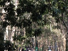 -灵顺寺