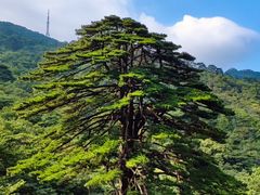 -黄山风景区
