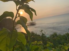 -Rock Bar Bali(Bali)