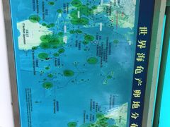 -广东惠东海龟国家级自然保护区