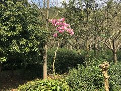 -湾里人家(旺山景区店)