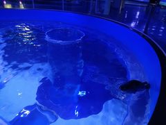 -上海海昌海洋公园-冰山北极馆