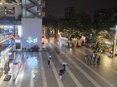 -明本湛江鸡•海鲜小厨(陈家祠店)