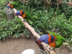 -南宫五洲植物乐园