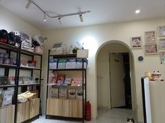 -柚子猫舍·精品猫舍购猫·猫咪认养·购宠·宠物店