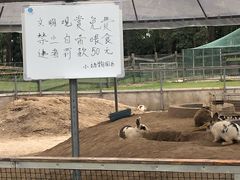 -前小桔亲子创意农场·草莓采摘·露营烧烤